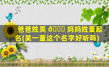 爸爸姓吴 🐛 妈妈姓董起名(吴一董这个名字好听吗)